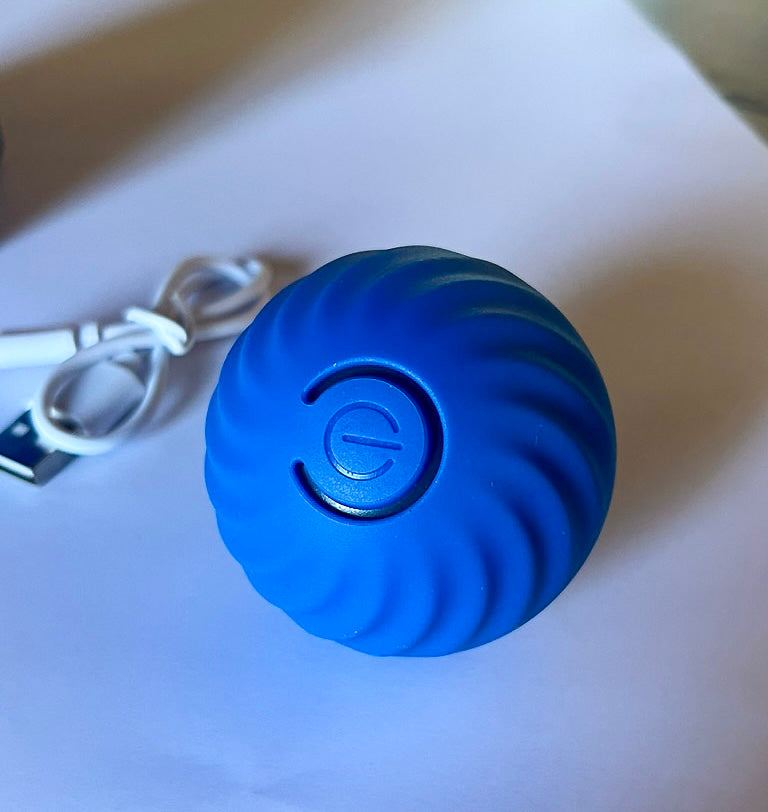 Balle sauteuse interactive bleue 5,6cm de diamètre pour chien, fourni avec batterie rechargeable intégrée et chargeur USB