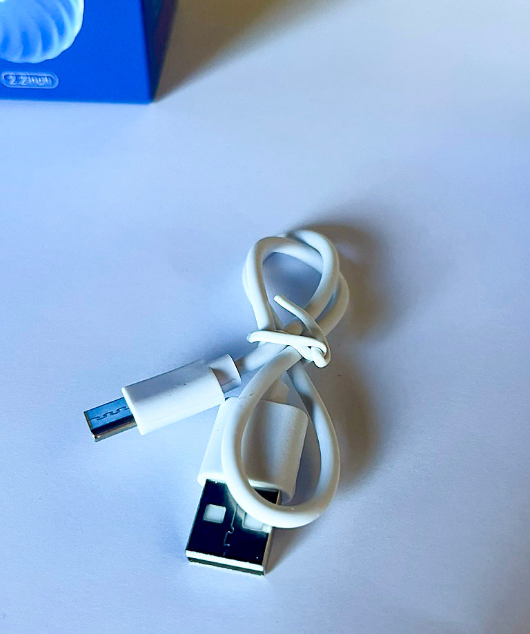 Balle sauteuse interactive bleue 5,6cm de diamètre pour chien, fourni avec batterie rechargeable intégrée et chargeur USB