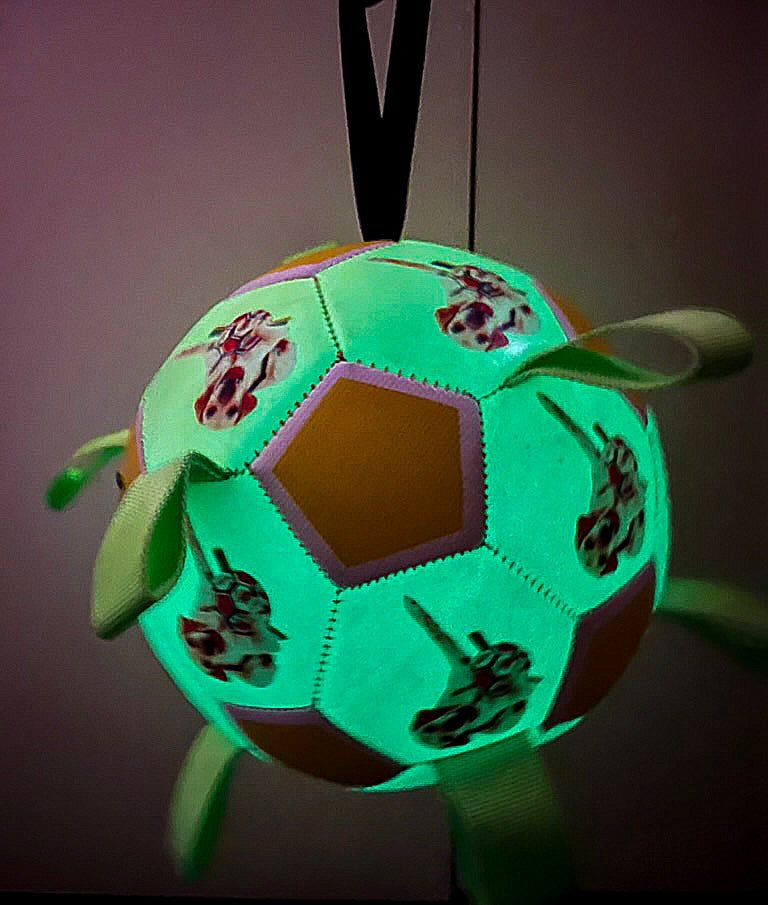 Ballon à lanières interactif fluorescent pour toutes les races de chiens