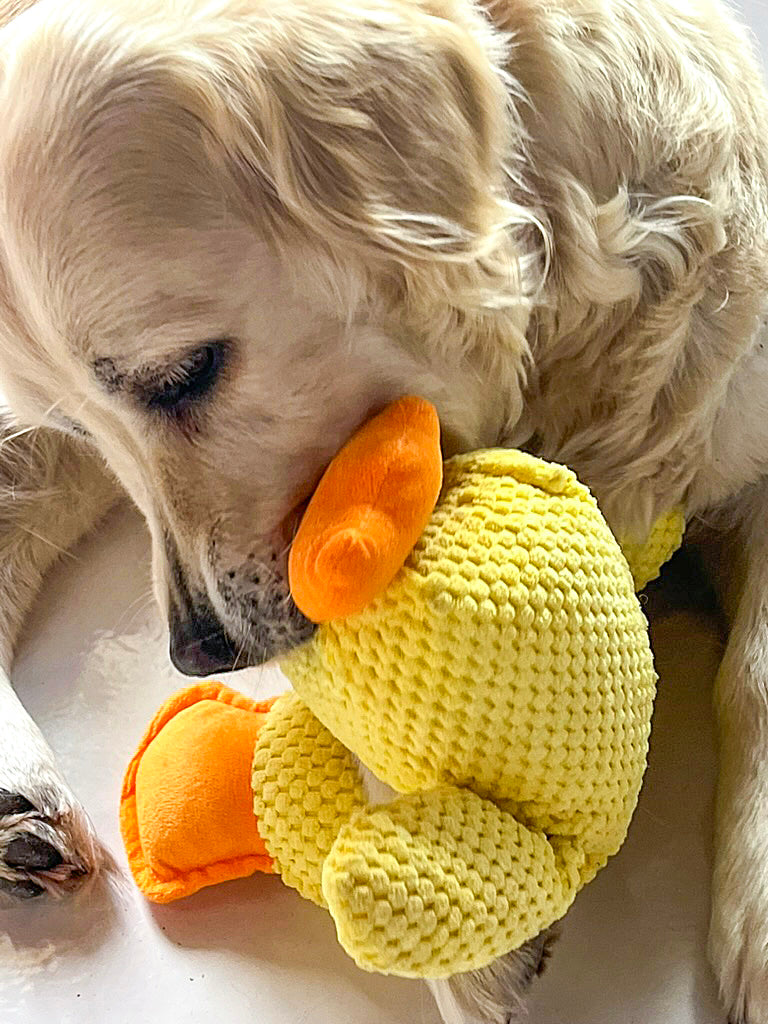Grande peluche canard jaune 42 cm — jouet résistant pour chiens de taille moyenne et grande