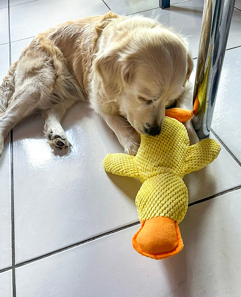 Grande peluche canard jaune 42 cm — jouet résistant pour chiens de taille moyenne et grande