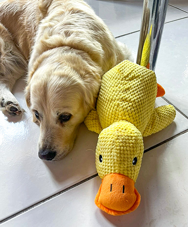 Grande peluche canard jaune 42 cm — jouet résistant pour chiens de taille moyenne et grande
