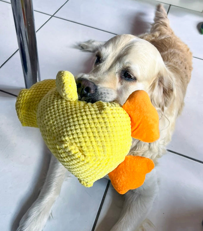 Grande peluche canard jaune 42 cm — jouet résistant pour chiens de taille moyenne et grande